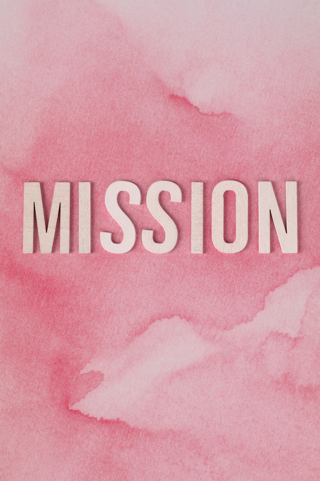 company mission